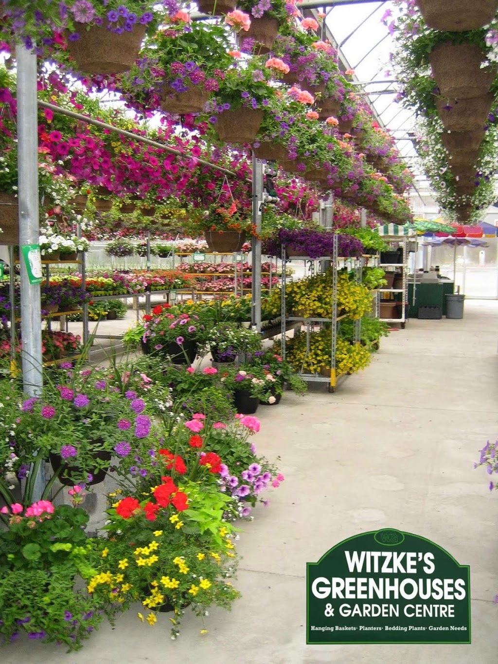 Witzkes Greenhouses Ltd. | 1621 Pebblestone Rd, Courtice, ON L1E 2H1, Canada | Phone: (905) 436-9204