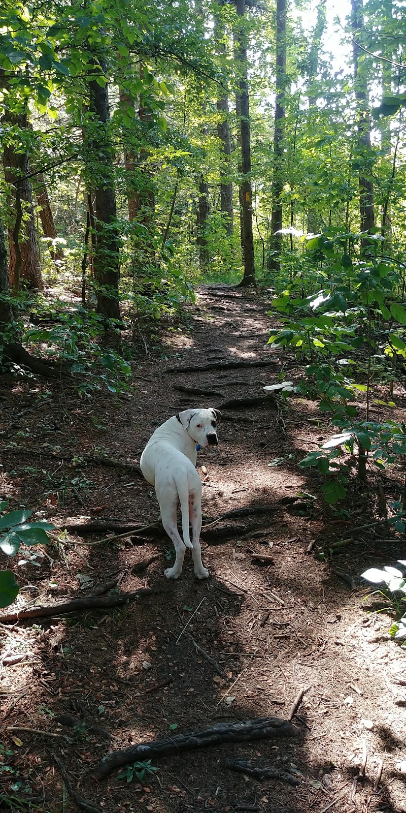 Shakespeare Conservation Area | 4031 Perth 107, Gads Hill, ON N0K 1J0, Canada