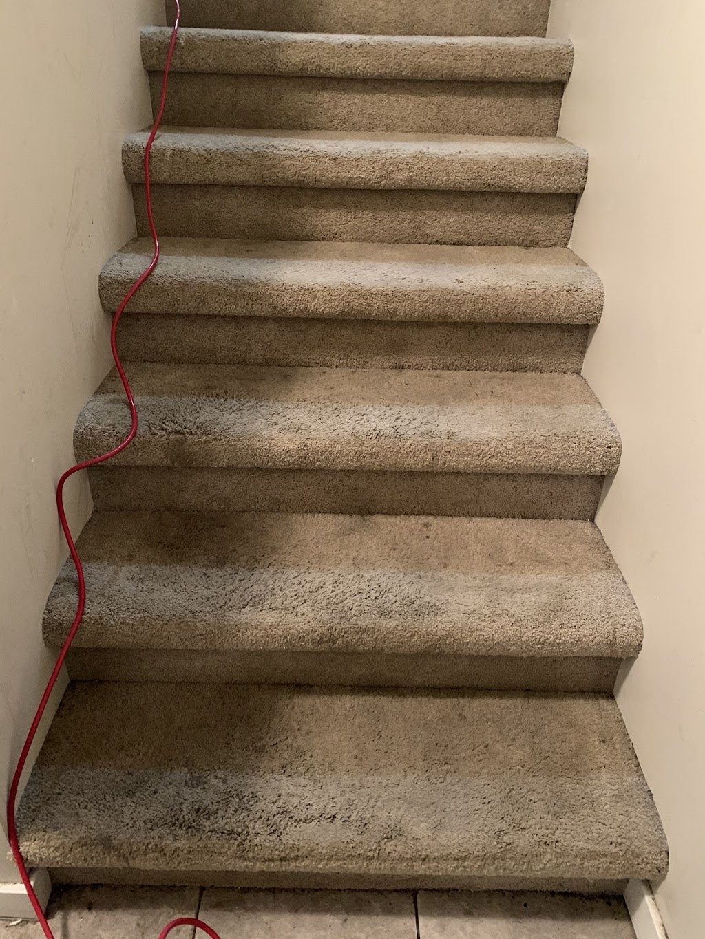 Dirt Army Carpet Cleaning | 2828 20 Ave NW, Edmonton, AB T6T 0L9, Canada | Phone: (780) 278-0133