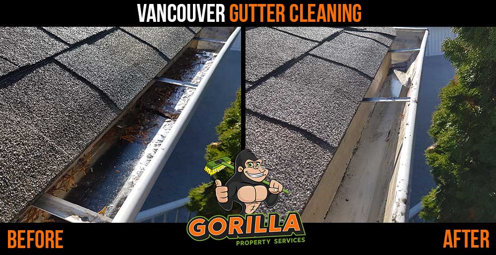 Gorilla Property Services | 8623 Granville St Suite 122, Vancouver, BC V6P 5A2, Canada | Phone: (604) 332-2090