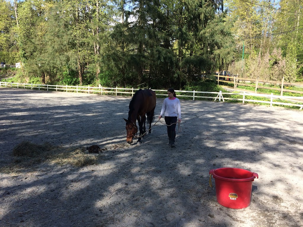 North Shore Equestrian Centre | 1301 Lillooet Rd, North Vancouver, BC V7J 2J1, Canada | Phone: (604) 988-5131