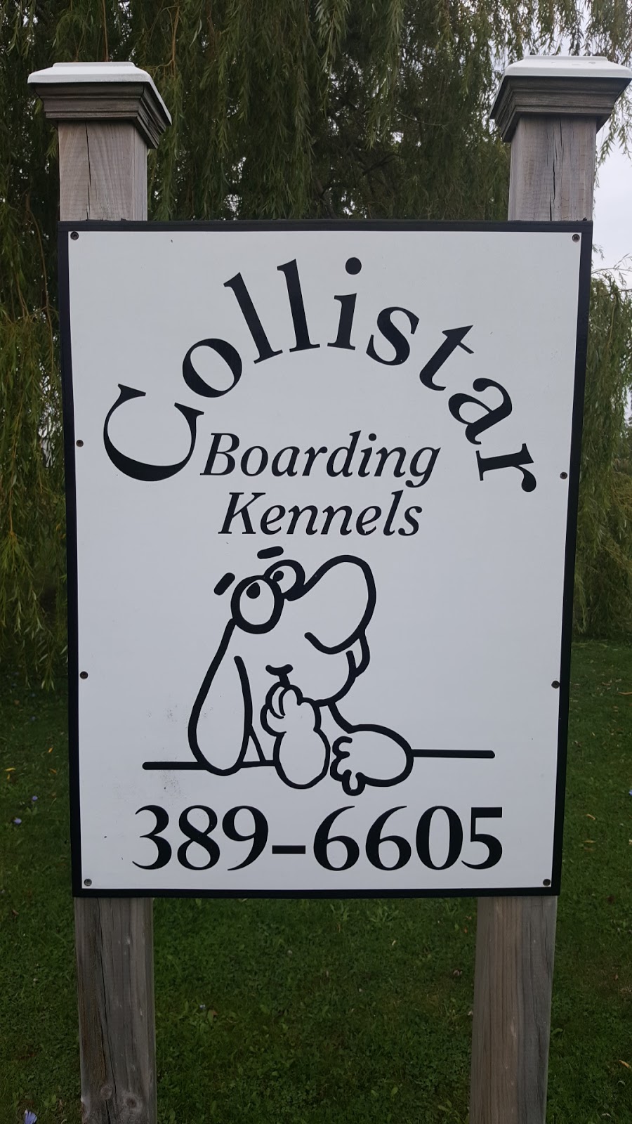 Collistar Kennels | 1522 Concession Rd 12, Kincardine, ON N0H 0A0, Canada | Phone: (519) 389-6605