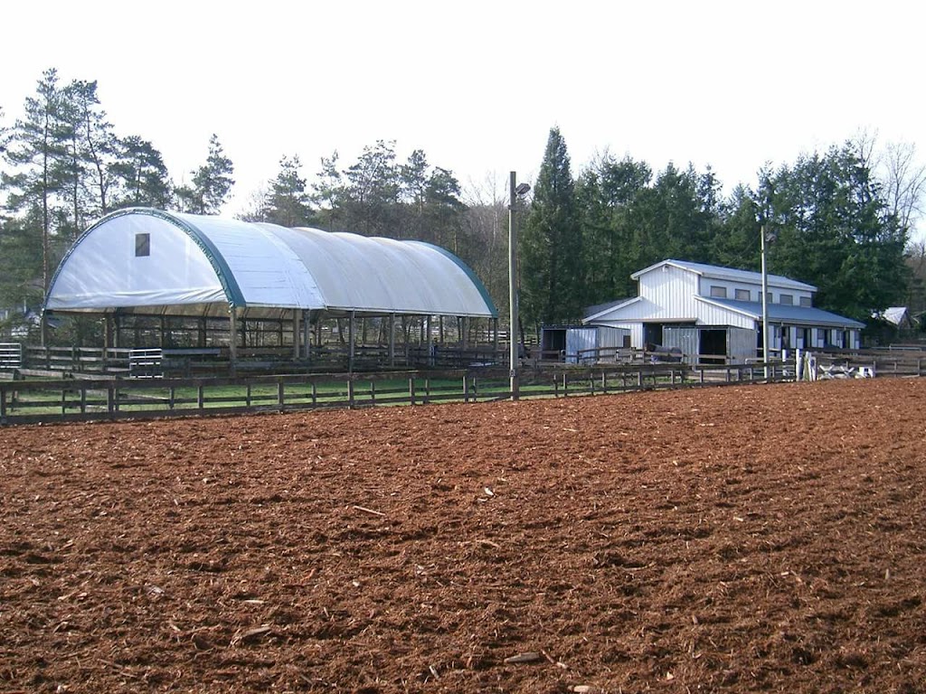 Hideaway Stables | 294 212 St, Langley, BC V2Z 1S7, Canada | Phone: (604) 533-5351