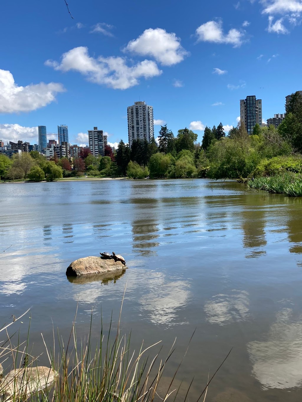 Lost Lagoon, Stanley Park | Lost Lagoon Path, Vancouver, BC V6G, Canada | Phone: (604) 873-7000