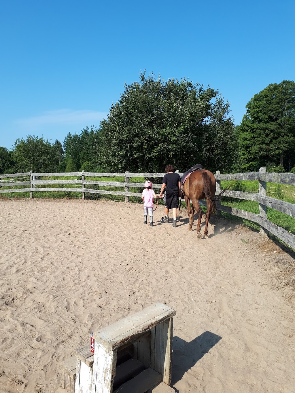 R & J Stables | 565 Kirkfield Rd, Woodville, ON K0M 2T0, Canada | Phone: (647) 802-2125