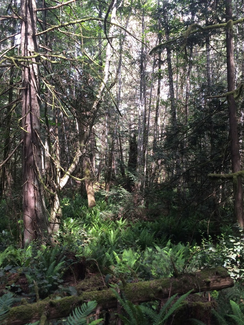 Medicine Beach Sanctuary | Pender Island, BC V0N 2M2, Canada