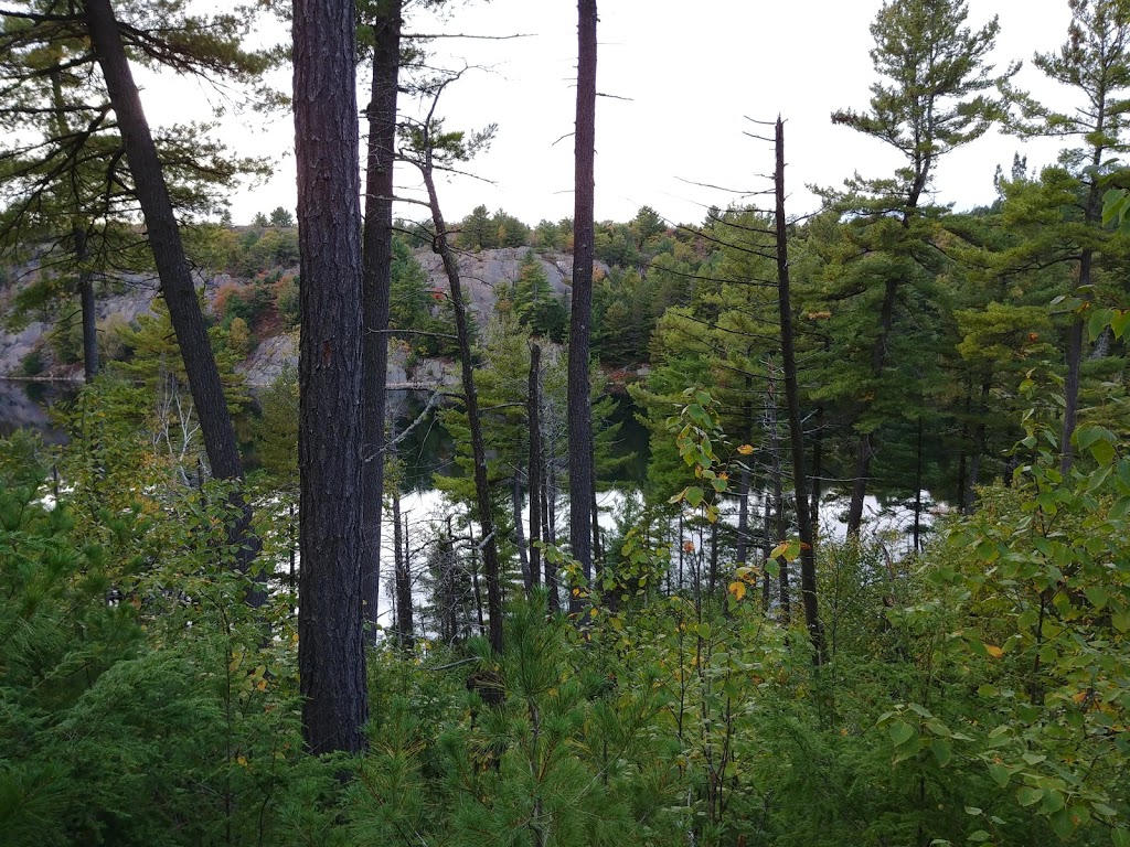 Lake of the Woods Trailhead | Bell Lake Rd, Killarney, ON P0M 2M0, Canada