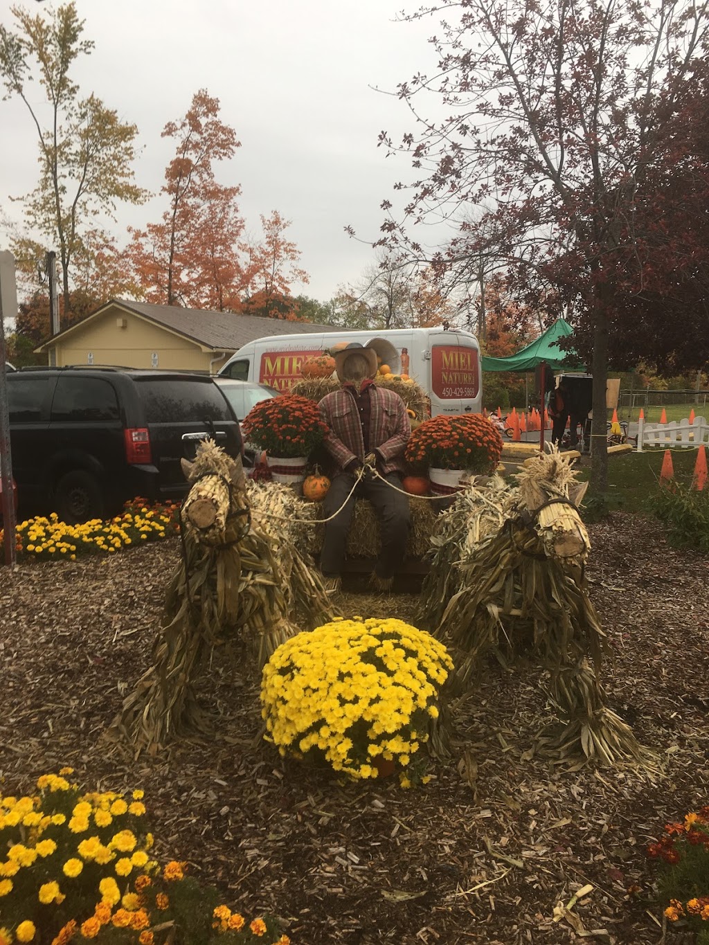 Festival des Couleurs de Rigaud | 5 Rue Pagé, Rigaud, QC J0P 1P0, Canada | Phone: (450) 451-0873