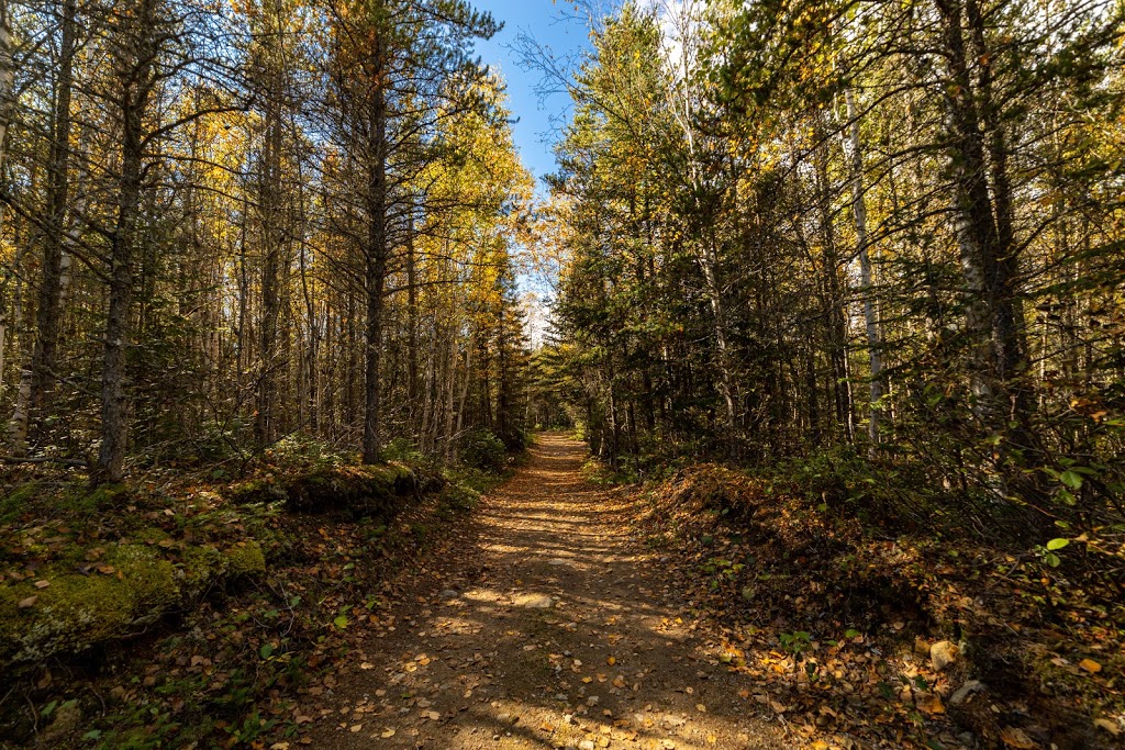 Centre de Plein Air Les Sources Joyeuses | 141 Rang Sainte Madeleine, La Malbaie, QC G5A 2T2, Canada | Phone: (418) 665-4858