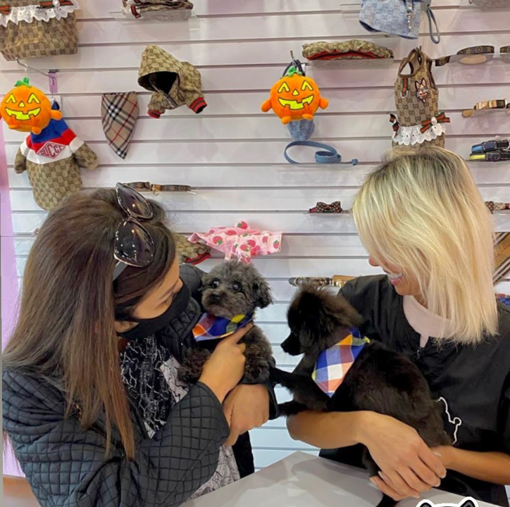 Ecomobile Pet Grooming & Dogy Boutique | 205 Don Head Village Blvd Unit 4, Richmond Hill, ON L4C 7R3, Canada | Phone: (416) 704-6061