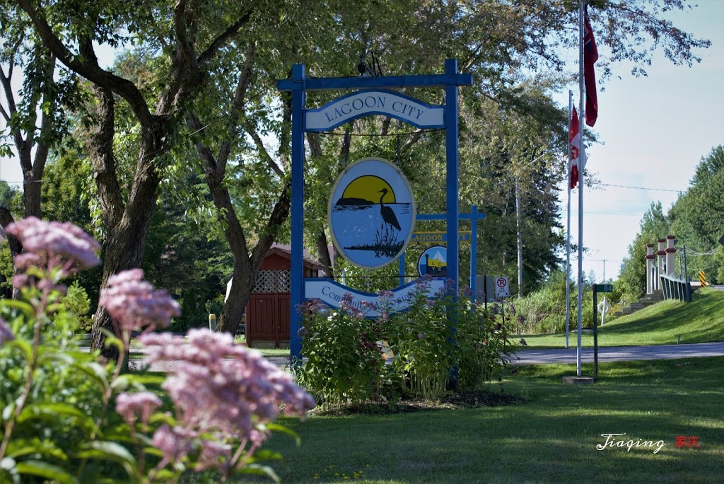 Lagoon City Community Association | 84 Laguna Pkwy, Brechin, ON L0K 1B0, Canada | Phone: (705) 484-5689