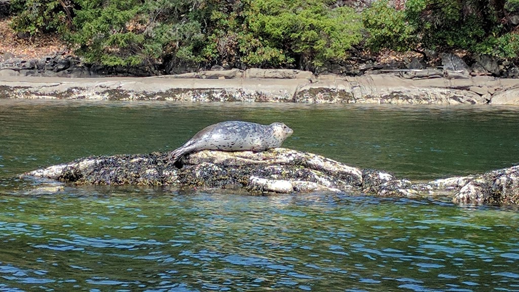 Wallace Island Marine Provincial Park | Galiano Island, BC V0N 1P0, Canada | Phone: (800) 689-9025