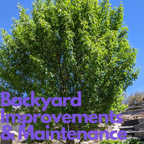 Backyard Improvements and Maintenance | 234 Aspen Ridge Pl SW, Calgary, AB T3H 0J7, Canada | Phone: (587) 968-8122