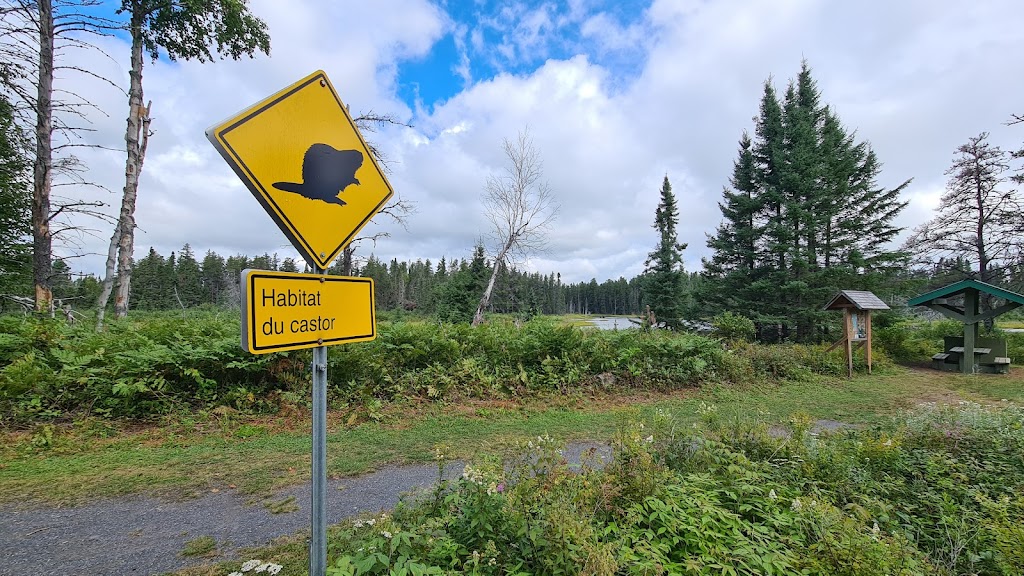 pointe Taillon National Park | 3e Rang O, Saint-Henri-de-Taillon, QC G0W 2X0, Canada | Phone: (800) 665-6527