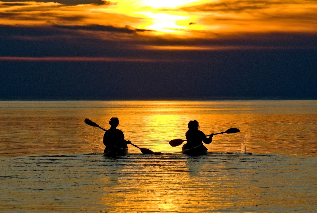 Mer et monde écotours | 20 Chem. Jalbert, Grandes-Bergeronnes, QC G0T 1G0, Canada | Phone: (418) 232-6779