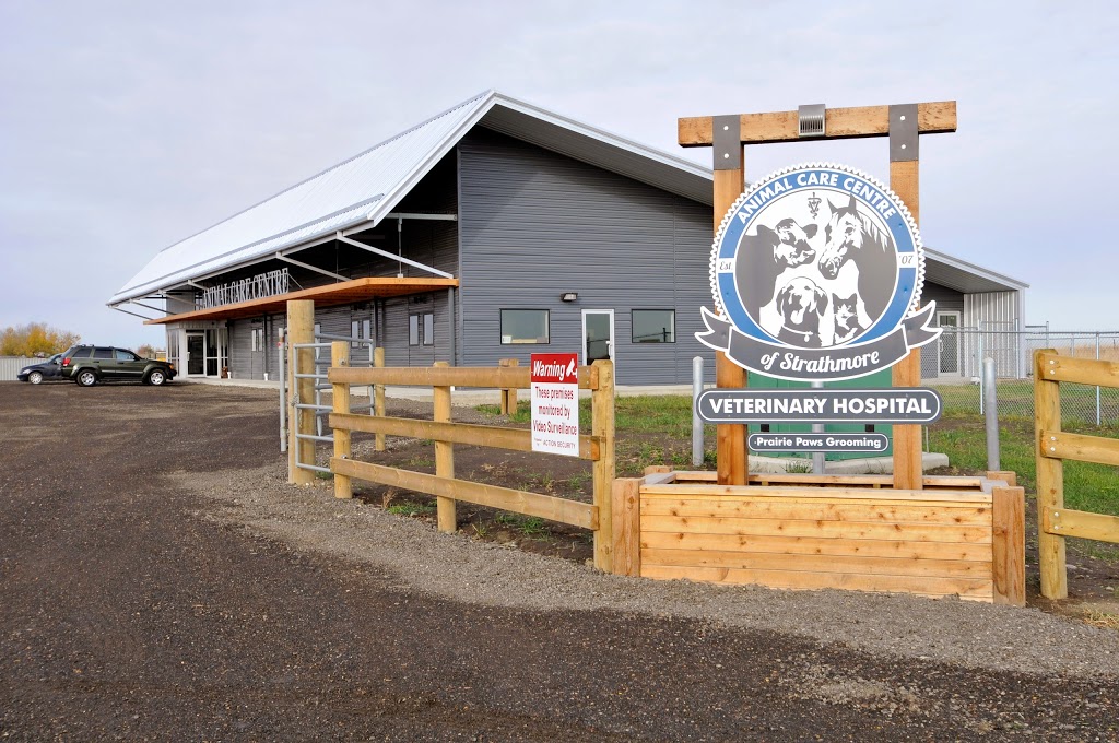 Animal Care Centre of Strathmore | Range Rd 254, Strathmore, AB T1P 1J6, Canada | Phone: (403) 901-1800