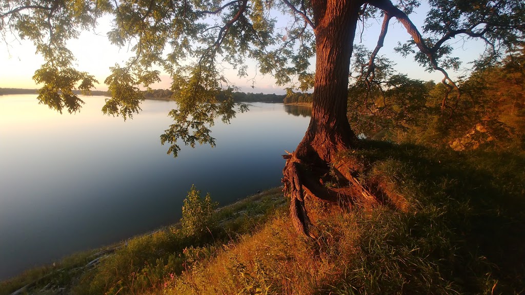 Fanshawe Lake Trail Turtleback | Thames Centre, ON N0M 2P0, Canada