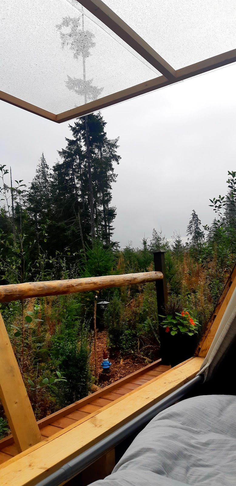 Cloud 9 Glamping | 2860 Kirby Creek Rd, Shirley, BC V9Z 1G4, Canada | Phone: (778) 350-7611