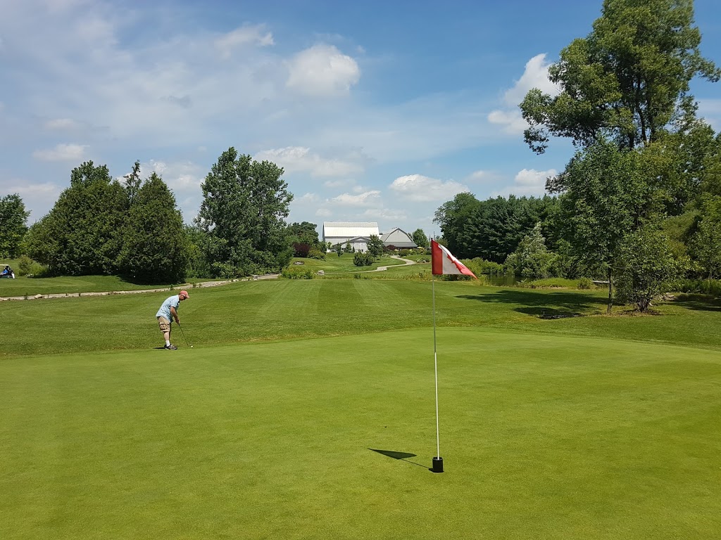 Springview Farm Golf Course | 657 Culver Rd, Waterford, ON N0E 1Y0, Canada | Phone: (519) 443-0589