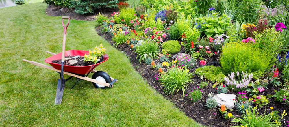 West Vancouver Landscaping | 1105 Lawson Ave, West Vancouver, BC V7T 2E4, Canada | Phone: (604) 889-4356