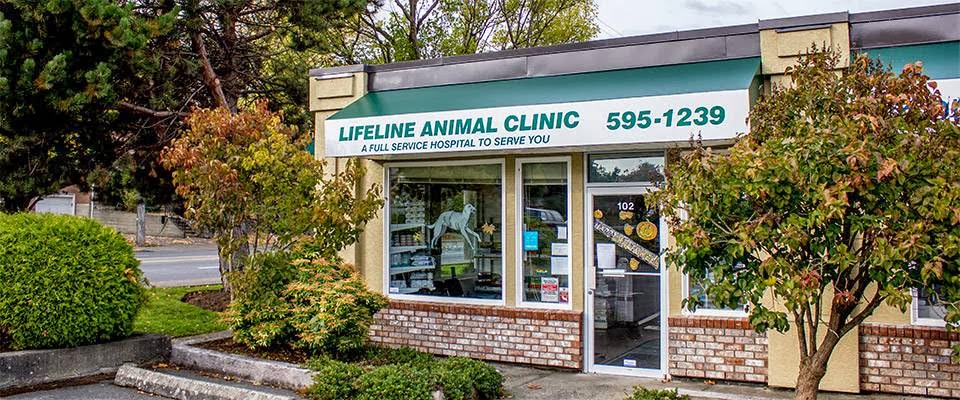 Lifeline Animal Clinic | 102-3581 Shelbourne St, Victoria, BC V8P 4G8, Canada | Phone: (250) 595-1239