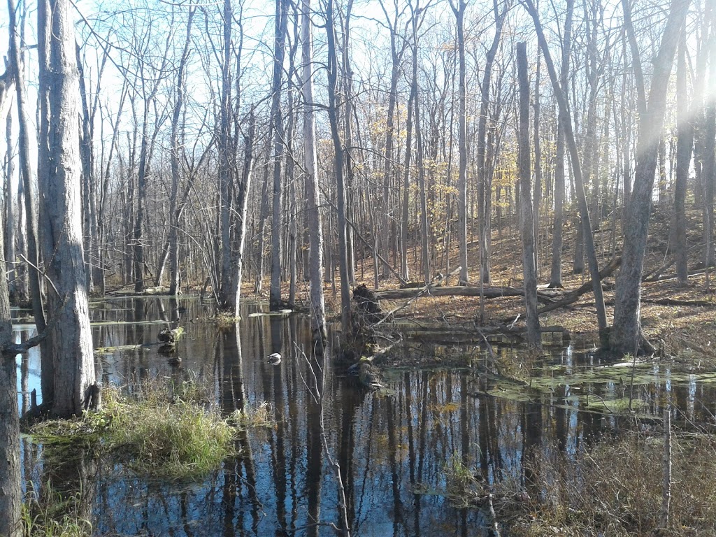 Meadowbrook park | Kingston, ON K7M 8A7, Canada