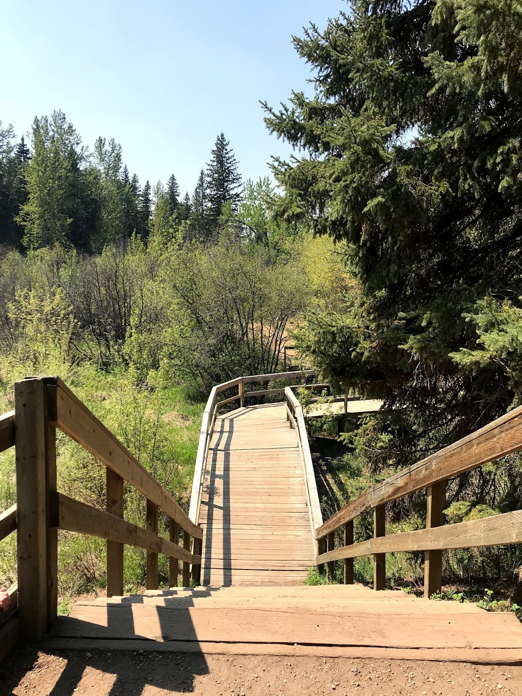 Whitemud Creek Stairs #250 | Unnamed Road, Edmonton, AB T6J 2C8, Canada