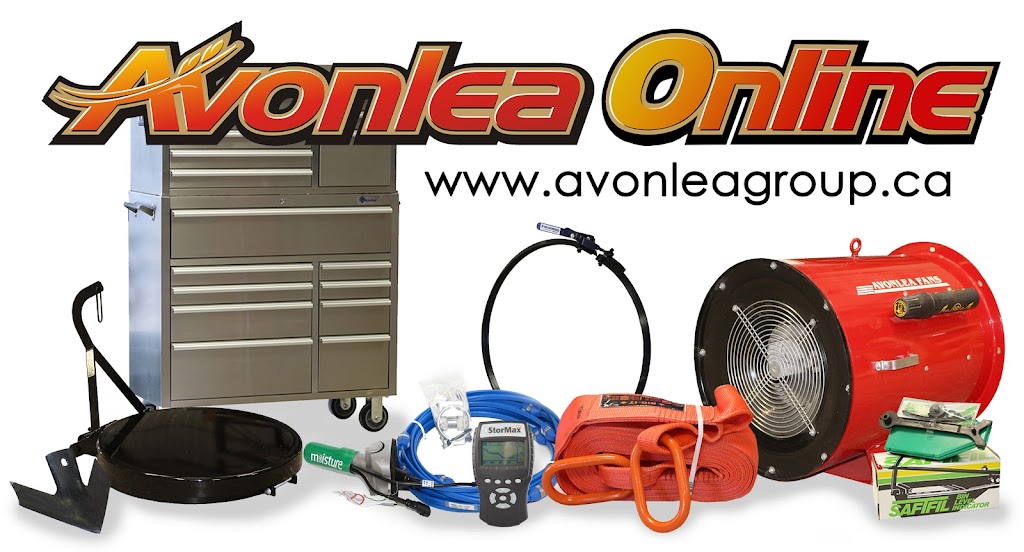 Avonlea Online | Box 45, Domain, MB R0G 0M0, Canada | Phone: (204) 736-2893