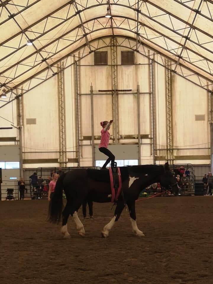 Seaside Vaulters Equestrian Vaulting | 11860 Ladner Trunk Rd, Delta, BC V4E 1A6, Canada | Phone: (778) 877-5150