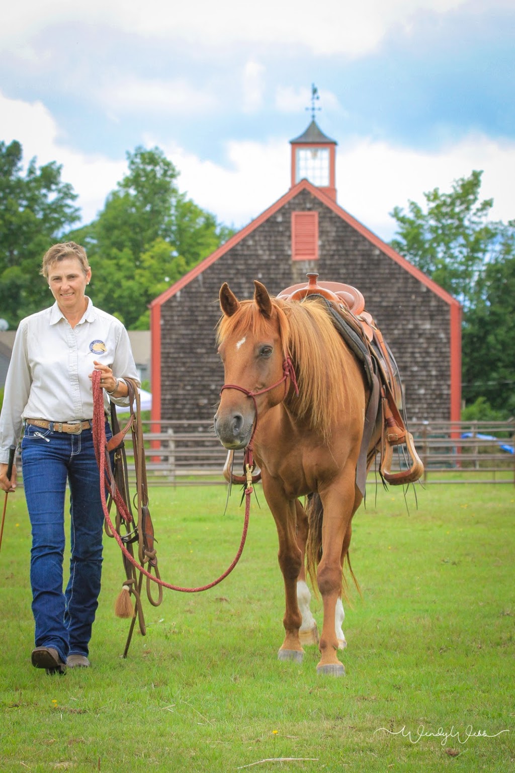 Harmony Hills Equestrian Centre | 181 Chemin Johnston, Cookshire-Eaton, QC J0B 1M0, Canada | Phone: (514) 808-2050