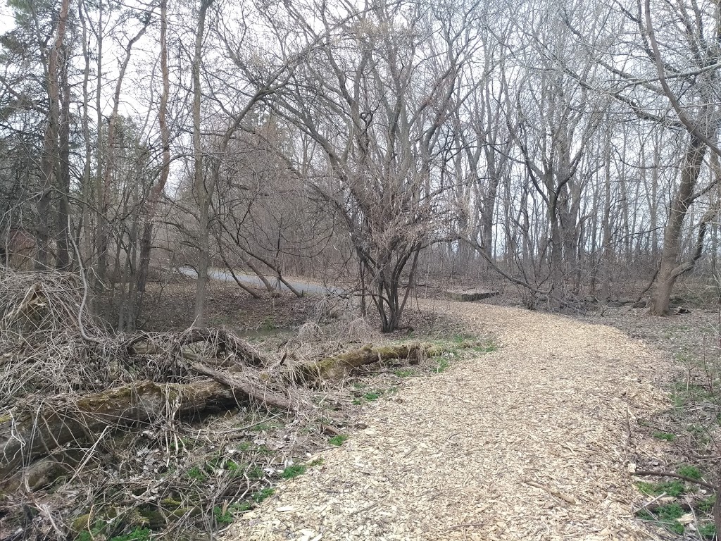 Arboretum Stephen-Langevin | Chemin de la Côte den Bas, Boucherville, QC J3V 6P4, Canada