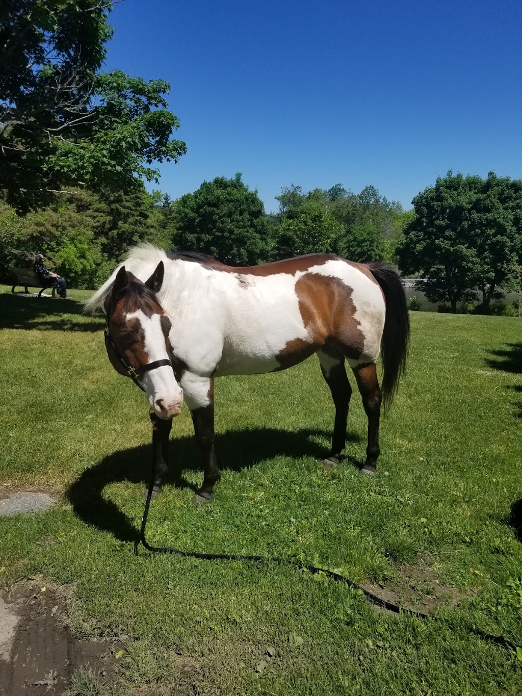 Nayoro Park | Sioux St, Lindsay, ON K9V, Canada