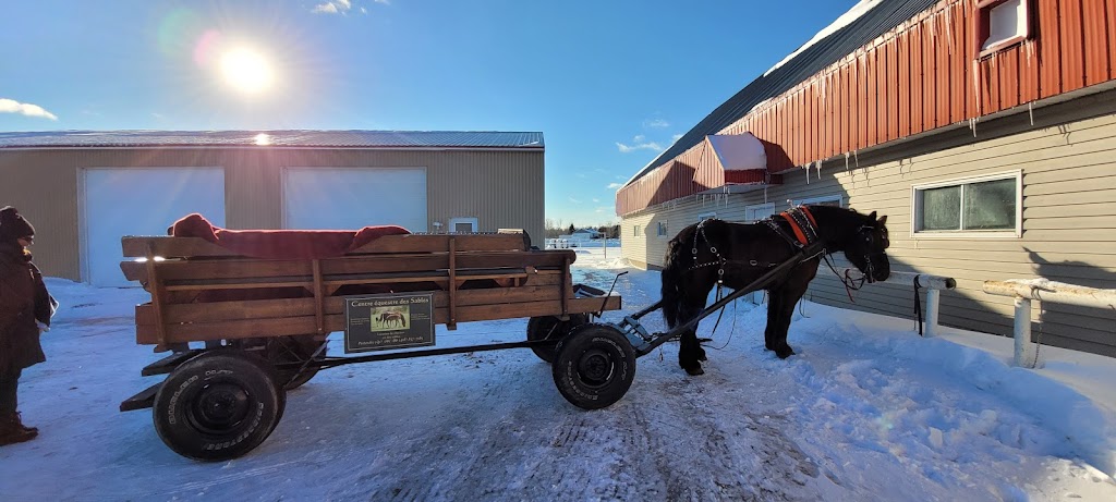 Centre Equestre Des Sables | 571 Chem. des Sables O, Pintendre, QC G6C 1B6, Canada | Phone: (418) 837-7185