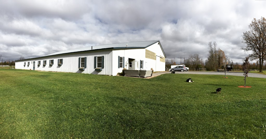 Synergy Farm | 8745 McCaffrey Trail, Ottawa, ON, Canada | Phone: (613) 229-4826