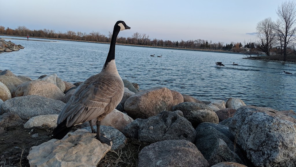 Henderson Lake Golf Club | 2727 S Parkside Dr, Lethbridge, AB T1K 0C6, Canada | Phone: (403) 329-6767