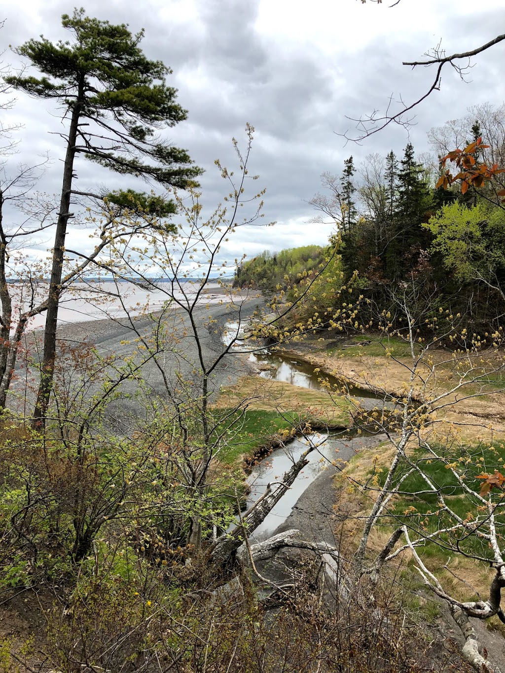 Blue Beach Fossil Museum | 127 Blue Beach Rd, Hantsport, NS B0P 1P0, Canada | Phone: (902) 790-9541