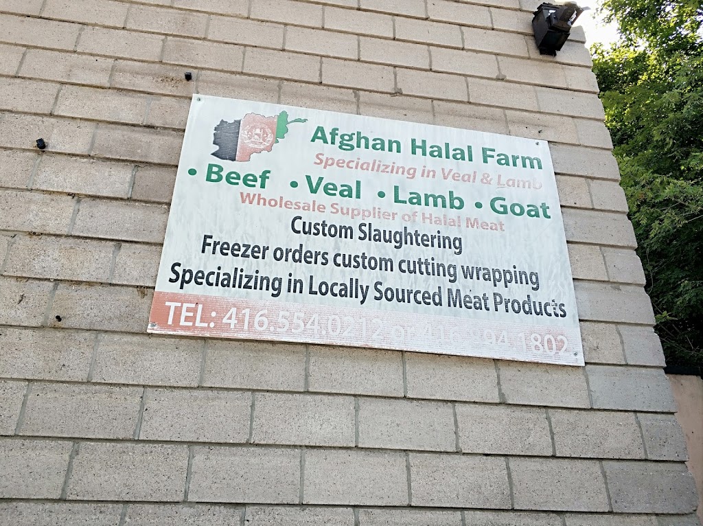 Afghan Halal Farm | 15755 Concession Rd 10, Schomberg, ON L0G 1T0, Canada | Phone: (416) 894-1802
