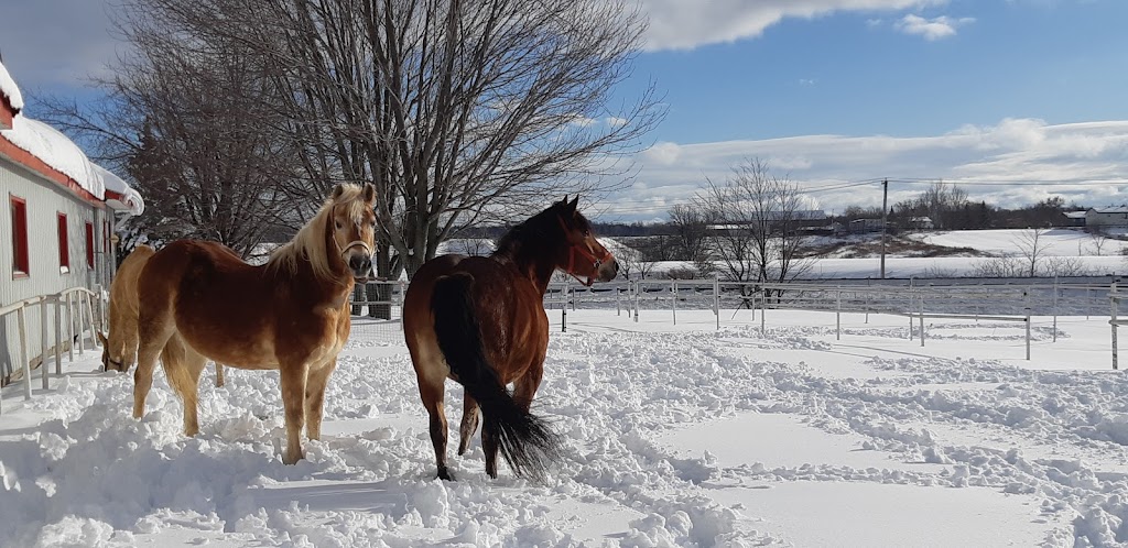 Centre équestre thérapeutique Equi-Sens | Rue Victor, Mirabel, QC J7J 1P4, Canada | Phone: (450) 434-7367