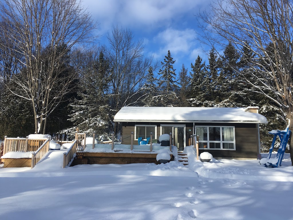 Willow Beach Cottages | 1626 Wigamog Rd, RR#2, Haliburton, ON K0M 1S0, Canada | Phone: (705) 457-1110