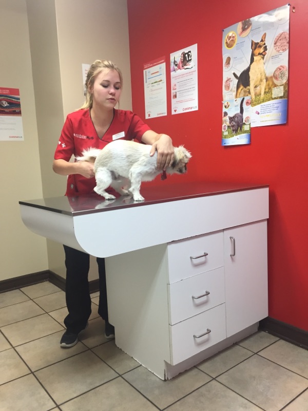 Veterinary Hospital AnimaPlus Les Coteaux | 167, rue Principale, Les Coteaux, QC J7X 1A1, Canada | Phone: (450) 267-8210