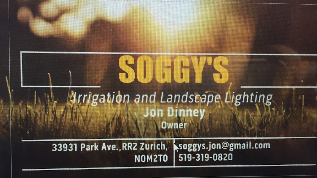 Soggys Irrigation & Landscape Lighting | 33931 Park Ave gmb 427, Zurich, ON N0M 2T0, Canada | Phone: (519) 319-0820