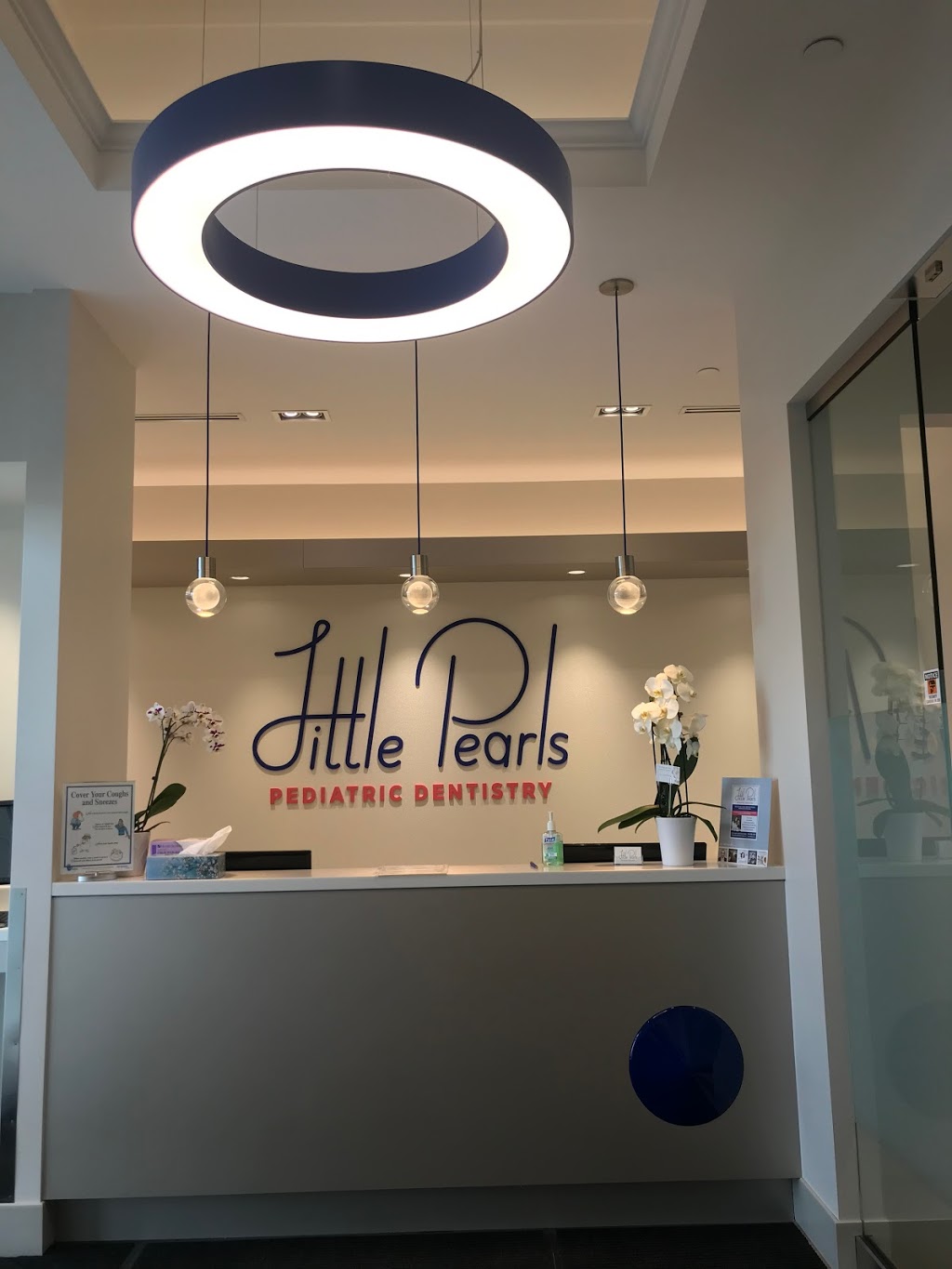 Little Pearls Pediatric Dentistry | 81 Billy Bishop Way Unit D2, North York, ON M3K 0C2, Canada | Phone: (416) 960-4422