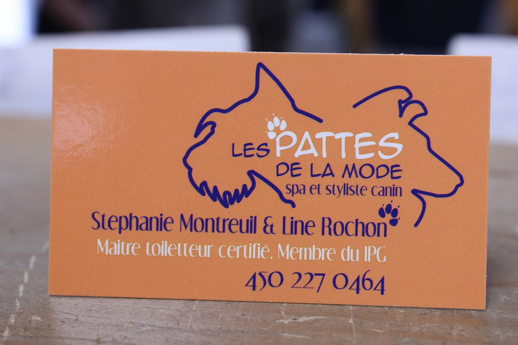 Pattes De La Mode (Les) | 467 Av. de lÉglise, Saint-Sauveur, QC J0R 1R7, Canada | Phone: (450) 227-0464