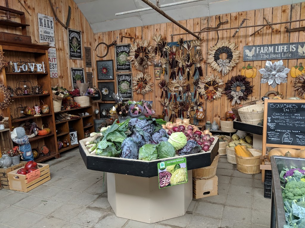 Round The Bend Farm | 16225 Jane St, Kettleby, ON L7B 0G3, Canada | Phone: (905) 727-0023