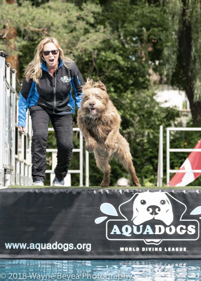 Aqua Dogs | 4160 10th Side Rd RR#4, Cookstown, ON L0L 1L0, Canada | Phone: (416) 886-3418