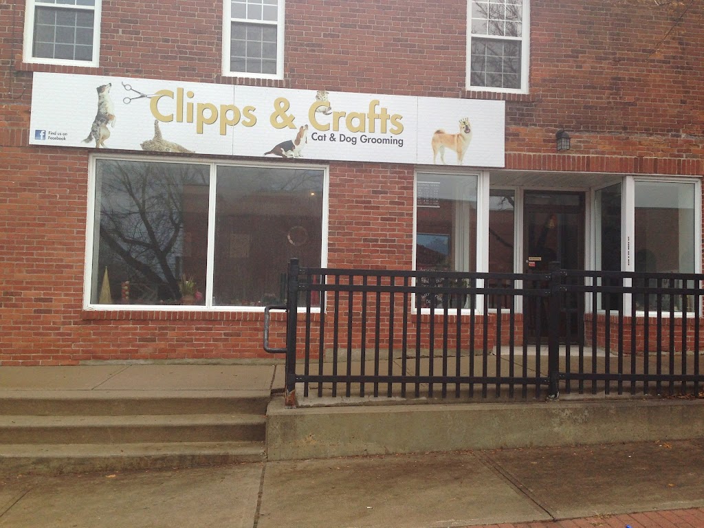 Clipps & Crafts | 8 Darryl Caswell Way, Bowmanville, ON L1C 0H9, Canada | Phone: (905) 623-6477