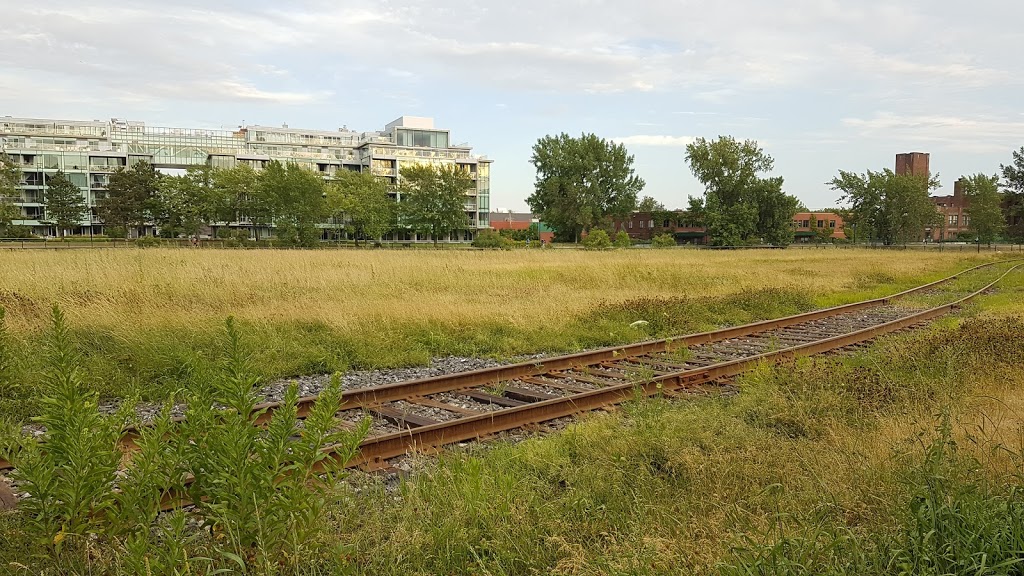 Eclusiers Park | Rue Sainte-Cunégonde, Montréal, QC H3J 2C9, Canada