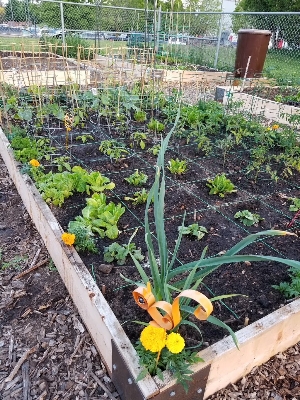 Central Park Community Garden | 2299 New St, Burlington, ON L7R 1J4, Canada | Phone: (905) 335-7736