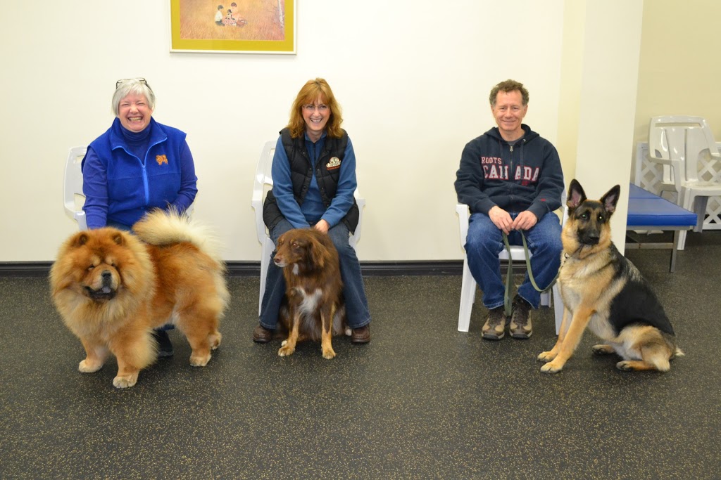 Carolark The Canine Learning Centre | 5933 Hazeldean Rd, Stittsville, ON K2S 1B9, Canada | Phone: (613) 591-3277