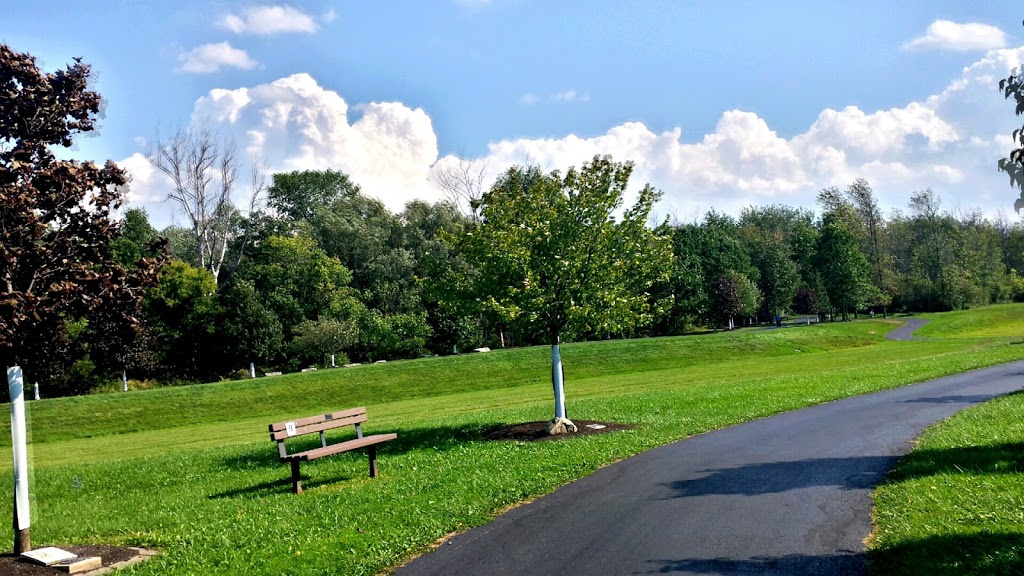 UB Bike Path Parking - N Forest and Maple | Buffalo, NY 14221, USA